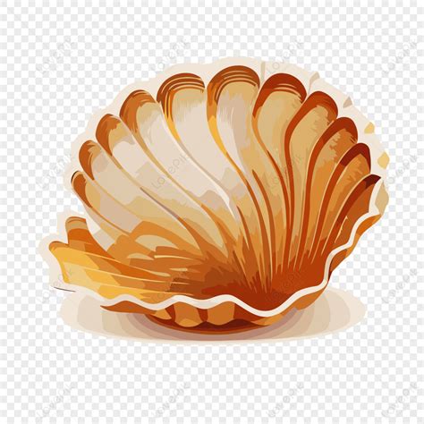 Photography Larawan Summer Shell Kabibe,clipart Ng Tag .